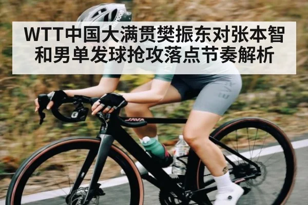 WTT中国大满贯樊振东对张本智和男单发球抢攻落点节奏解析