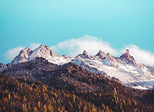 u8官方网站-中国男篮公布21人集训名单，后卫竞争激烈，四号位有 新人